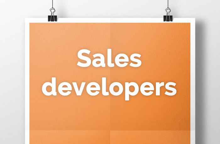 Sales developers