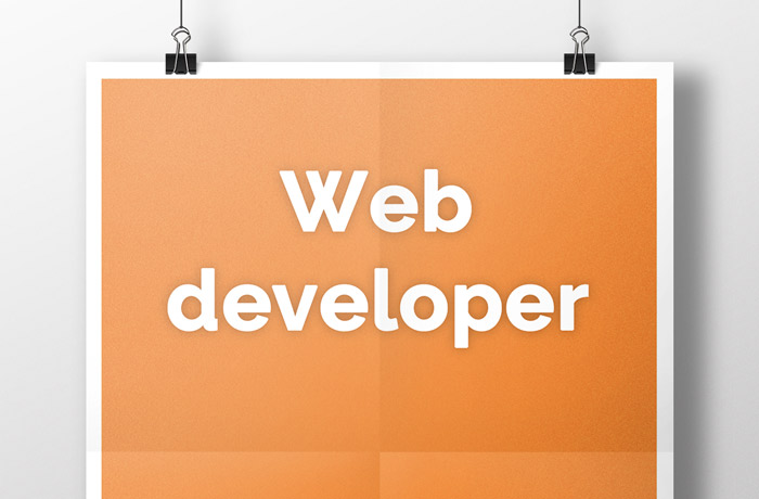 Web developers